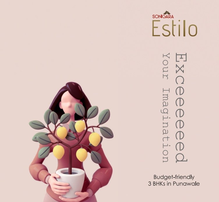 Sonigara Estilo: Branding & Brochure Design